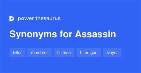 assassin synonym|slang for assassin.